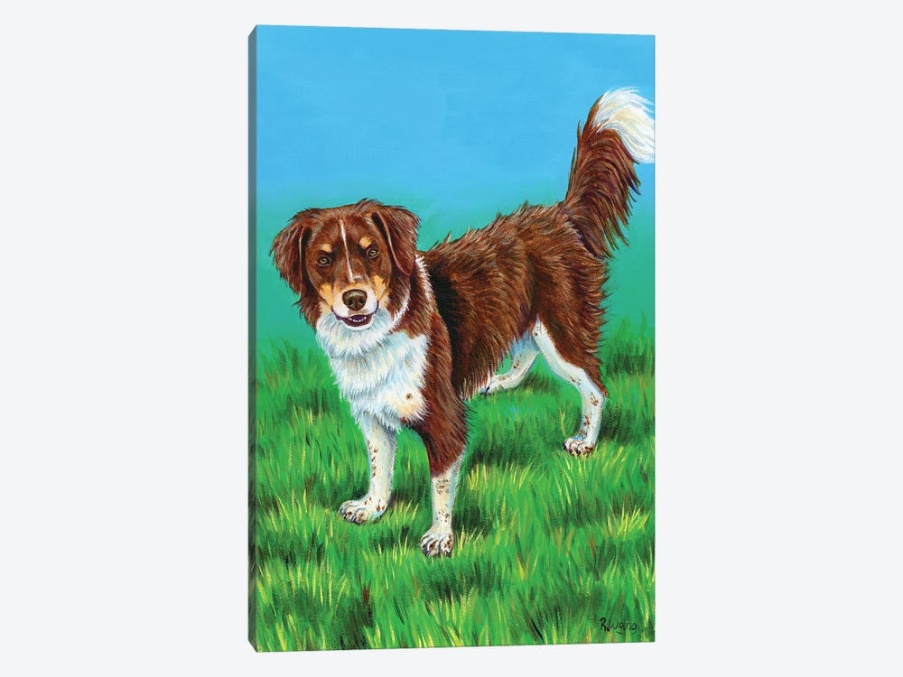 Brown And White Dog by Rebecca Wang 1-piece Canvas Artwork