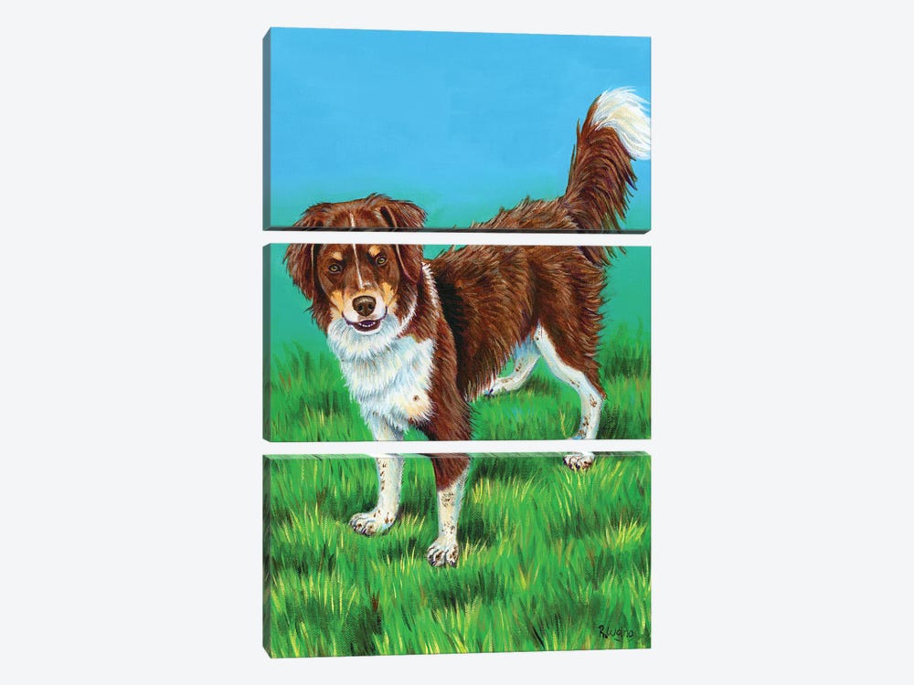 Brown And White Dog 3-piece Canvas Wall Art