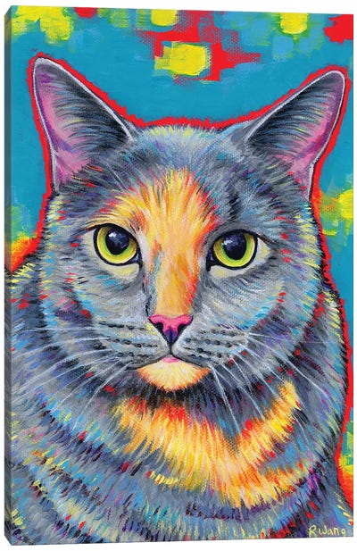 Dilute Tortoiseshell Cat Canvas Art Print - Rebecca Wang