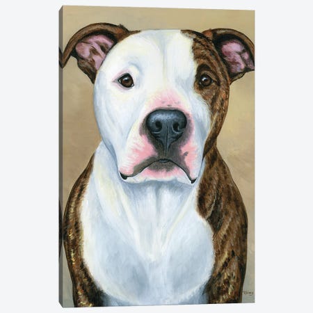 Brindle And White Pitbull Terrier Canvas Print #RBW105} by Rebecca Wang Canvas Art Print