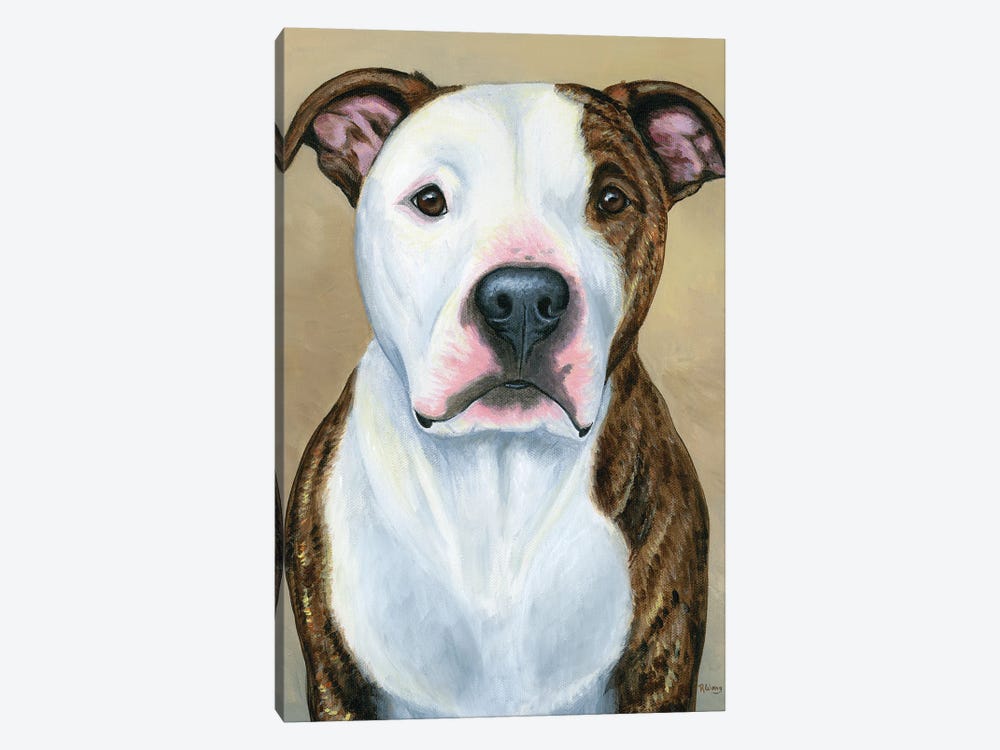 Brindle And White Pitbull Terrier by Rebecca Wang 1-piece Canvas Print