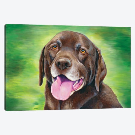Chocolate Labrador Retriever Canvas Print #RBW106} by Rebecca Wang Canvas Print