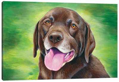 Chocolate Labrador Retriever Canvas Art Print - Rebecca Wang