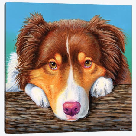Red Tricolor Australian Shepherd Dog Canvas Print #RBW108} by Rebecca Wang Canvas Art