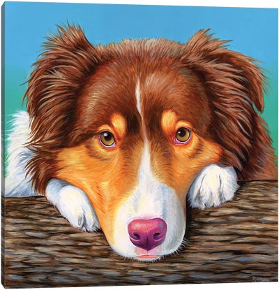 Red Tricolor Australian Shepherd Dog Canvas Art Print - Australian Shepherd Art
