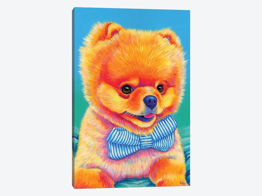 Cute Pomeranian With Bow Tie by Rebecca Wang 1-piece Canvas Art Print
