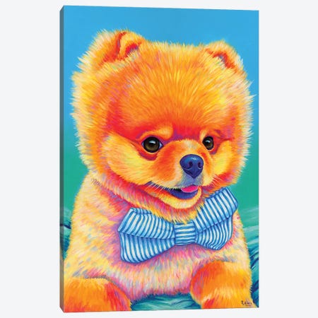 Cute Pomeranian With Bow Tie Canvas Print #RBW109} by Rebecca Wang Canvas Wall Art
