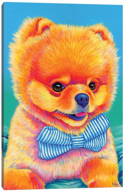 Cute Pomeranian With Bow Tie Canvas Art Print - Pomeranian Art