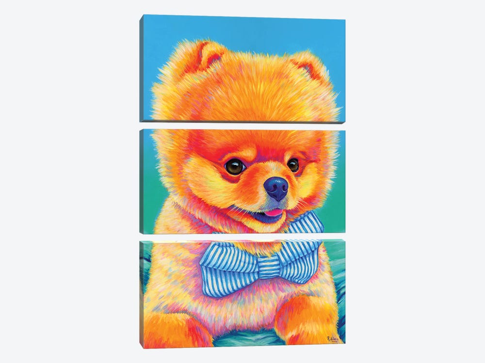 Cute Pomeranian With Bow Tie by Rebecca Wang 3-piece Canvas Art Print
