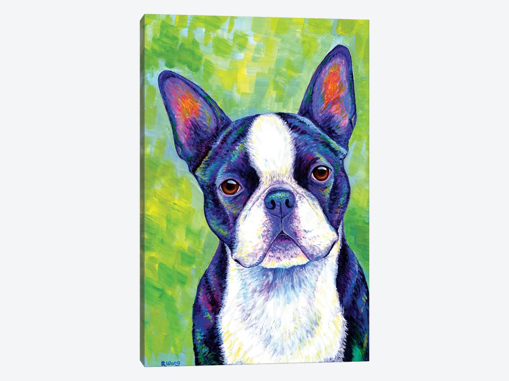 Effervescent - Boston Terrier by Rebecca Wang 1-piece Canvas Artwork