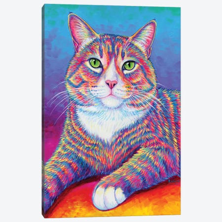 Rainbow Brown And White Tabby Cat Canvas Print #RBW113} by Rebecca Wang Canvas Art Print