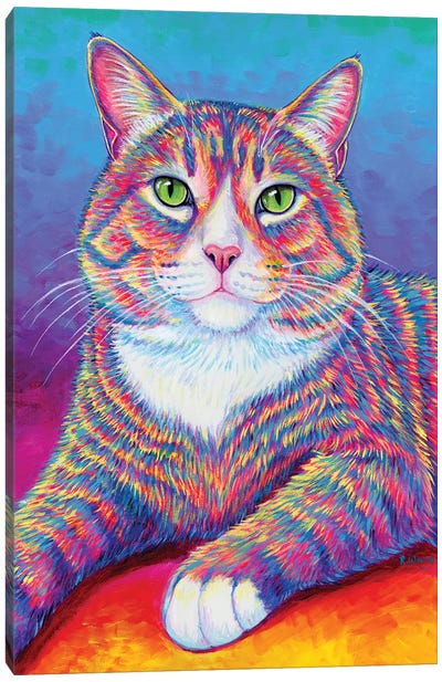 Rainbow Brown And White Tabby Cat Canvas Art Print - Rebecca Wang