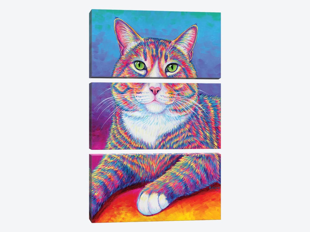 Rainbow Brown And White Tabby Cat by Rebecca Wang 3-piece Canvas Wall Art