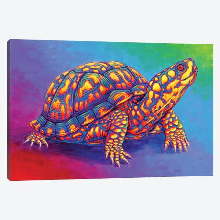 Rainbow Eastern Box Turtle Canvas Print #RBW114} by Rebecca Wang Canvas Art