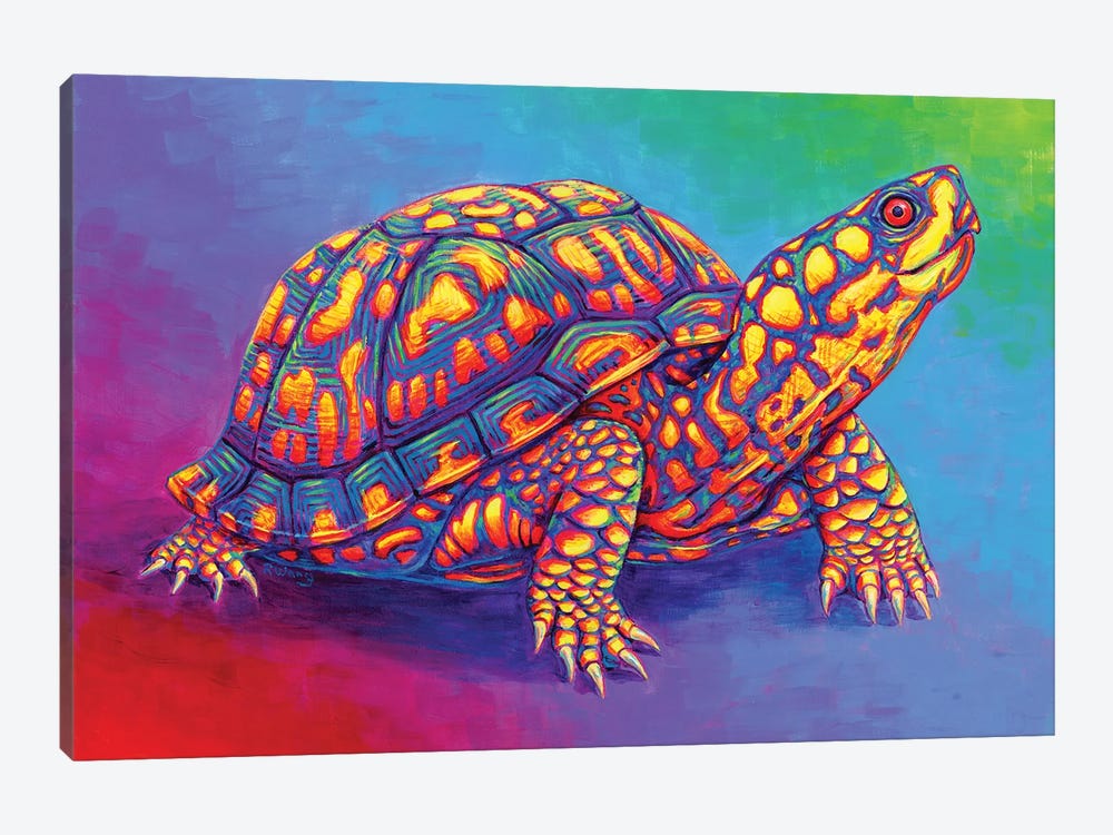 Rainbow Eastern Box Turtle by Rebecca Wang 1-piece Art Print