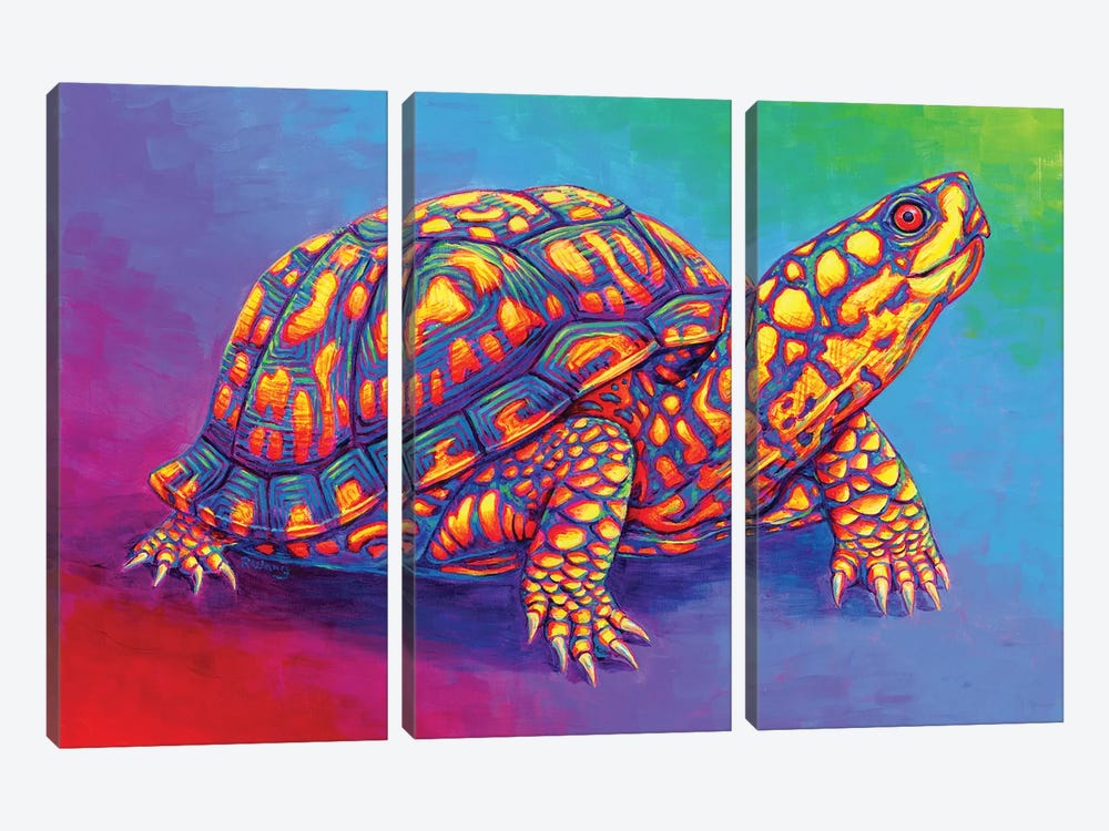 Rainbow Eastern Box Turtle by Rebecca Wang 3-piece Canvas Art Print