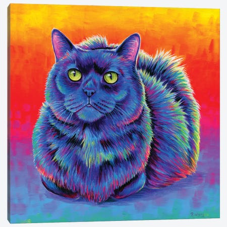 Fiery Rainbow Black Cat Canvas Print #RBW115} by Rebecca Wang Canvas Art