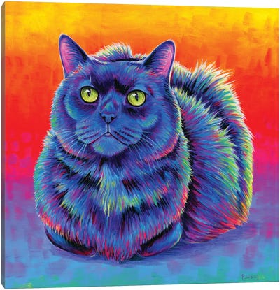 Fiery Rainbow Black Cat Canvas Art Print - Rebecca Wang