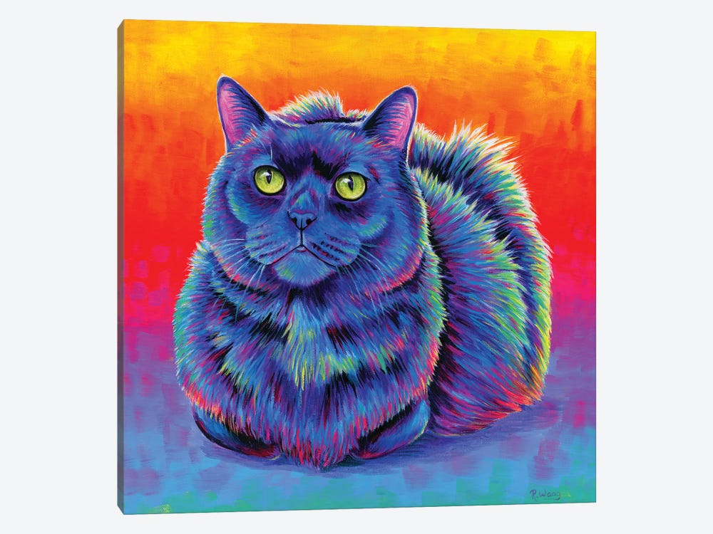 Fiery Rainbow Black Cat by Rebecca Wang 1-piece Canvas Art