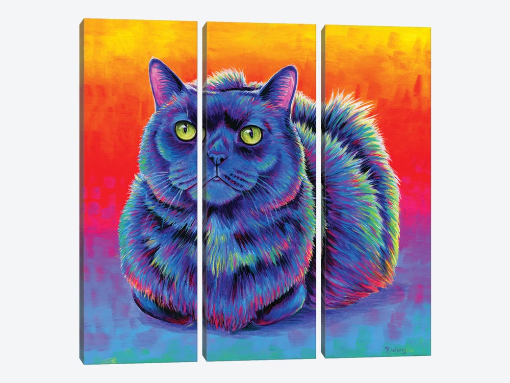 Fiery Rainbow Black Cat by Rebecca Wang 3-piece Canvas Wall Art