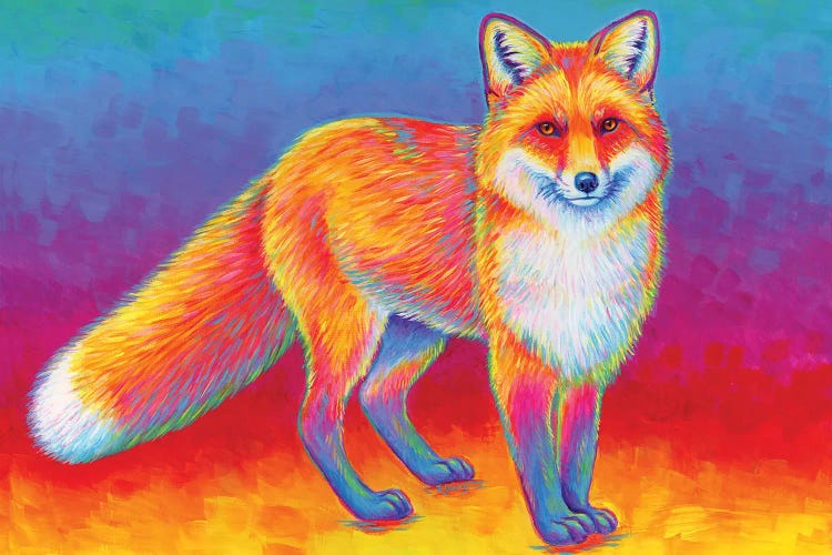 Rainbow Red Fox