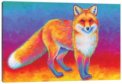 Rainbow Red Fox Canvas Art Print - Rebecca Wang