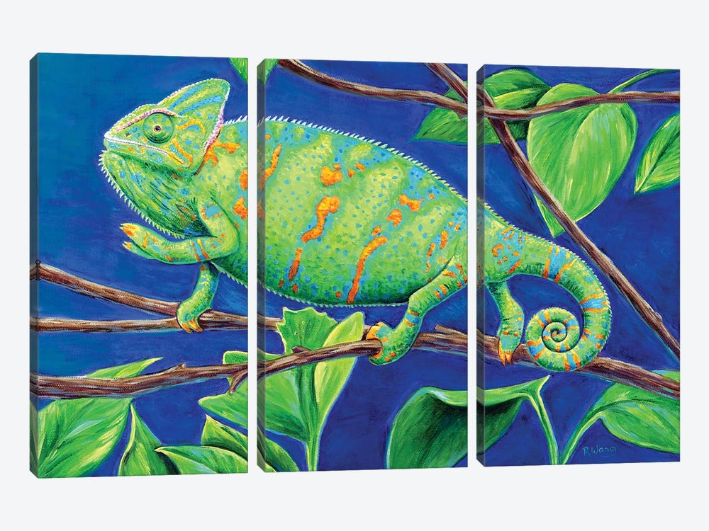 Veiled Chameleon by Rebecca Wang 3-piece Canvas Wall Art