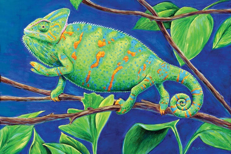 Veiled Chameleon