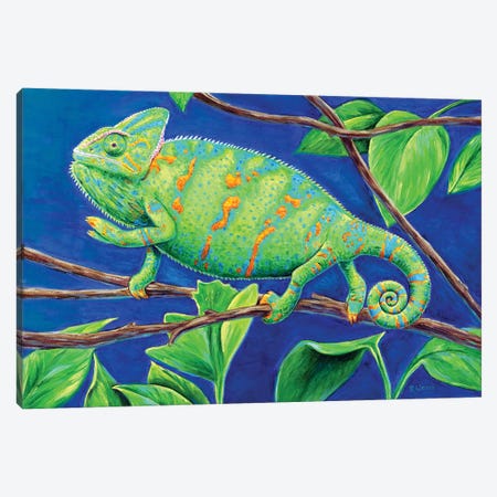 Veiled Chameleon Canvas Print #RBW117} by Rebecca Wang Canvas Artwork