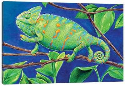 Veiled Chameleon Canvas Art Print - Lizard Art