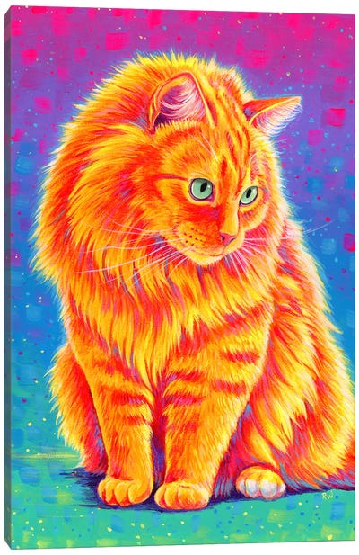 Longhaired Orange Tabby Cat Canvas Art Print - Orange Cat Art