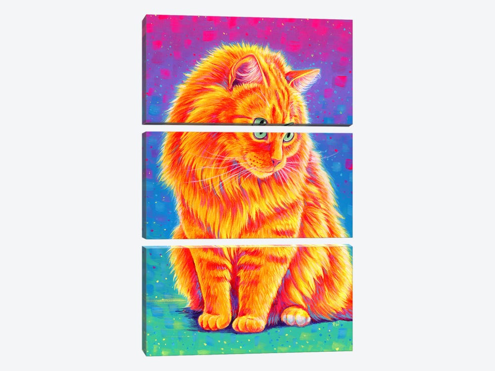 Longhaired Orange Tabby Cat by Rebecca Wang 3-piece Canvas Wall Art