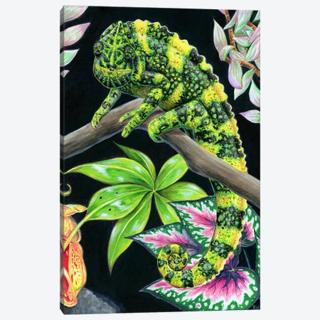 Meller's Chameleon Canvas Print #RBW120} by Rebecca Wang Canvas Art