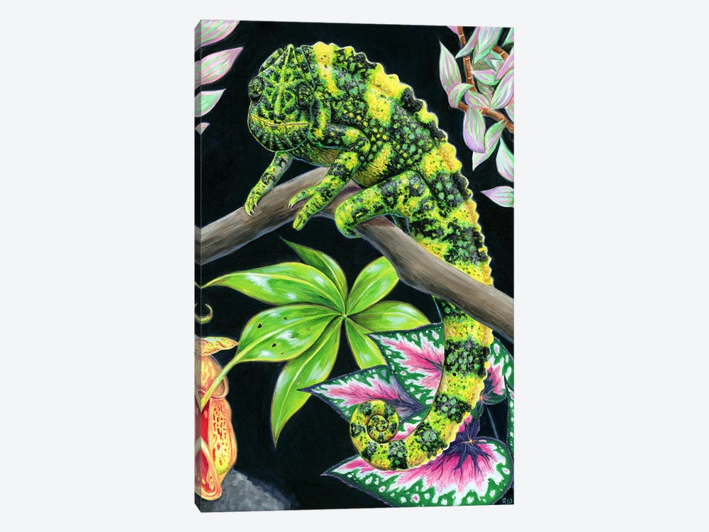 Meller's Chameleon by Rebecca Wang 1-piece Canvas Artwork