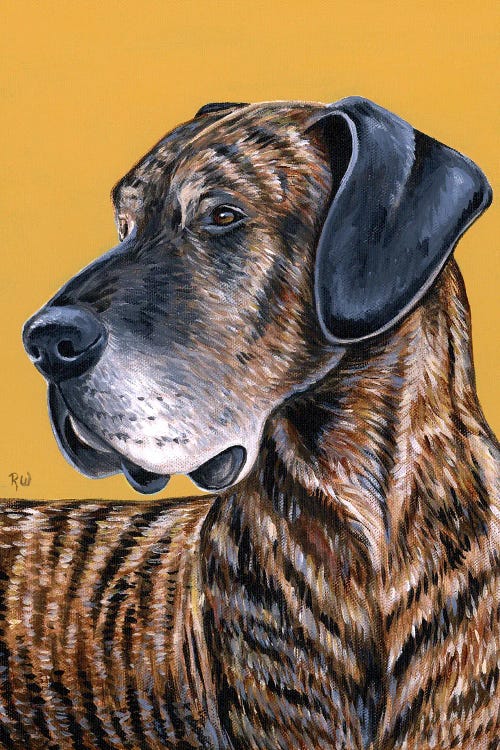 Brindle Great Dane