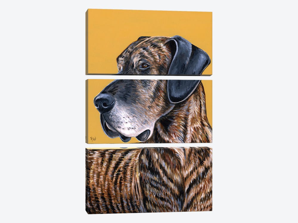 Brindle Great Dane by Rebecca Wang 3-piece Canvas Print