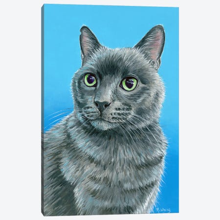 Russian Blue Cat Canvas Print #RBW124} by Rebecca Wang Canvas Print