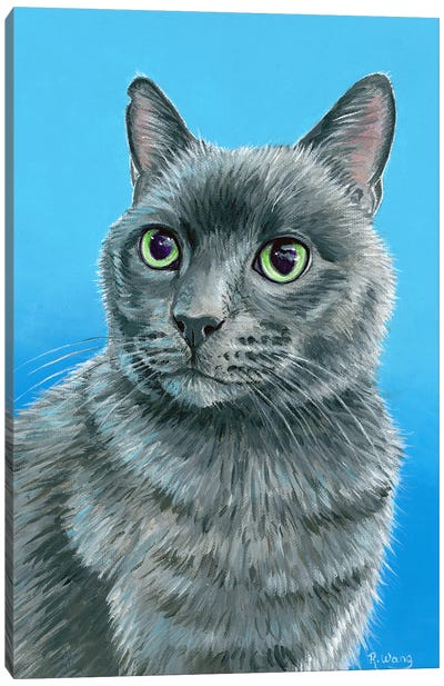 Russian Blue Cat Canvas Art Print - Rebecca Wang