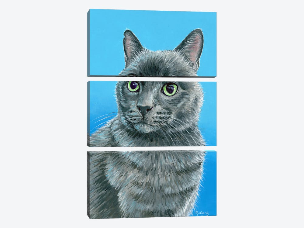 Russian Blue Cat by Rebecca Wang 3-piece Canvas Art