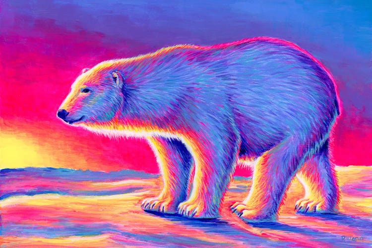 Sunset Polar Bear