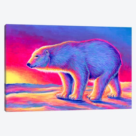 Sunset Polar Bear Canvas Print #RBW125} by Rebecca Wang Canvas Print