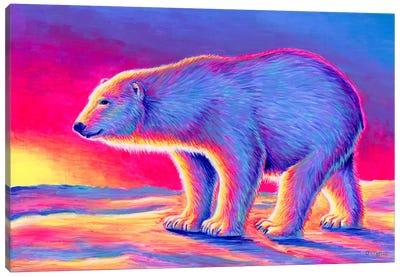 Sunset Polar Bear Canvas Art Print - Polar Bear Art