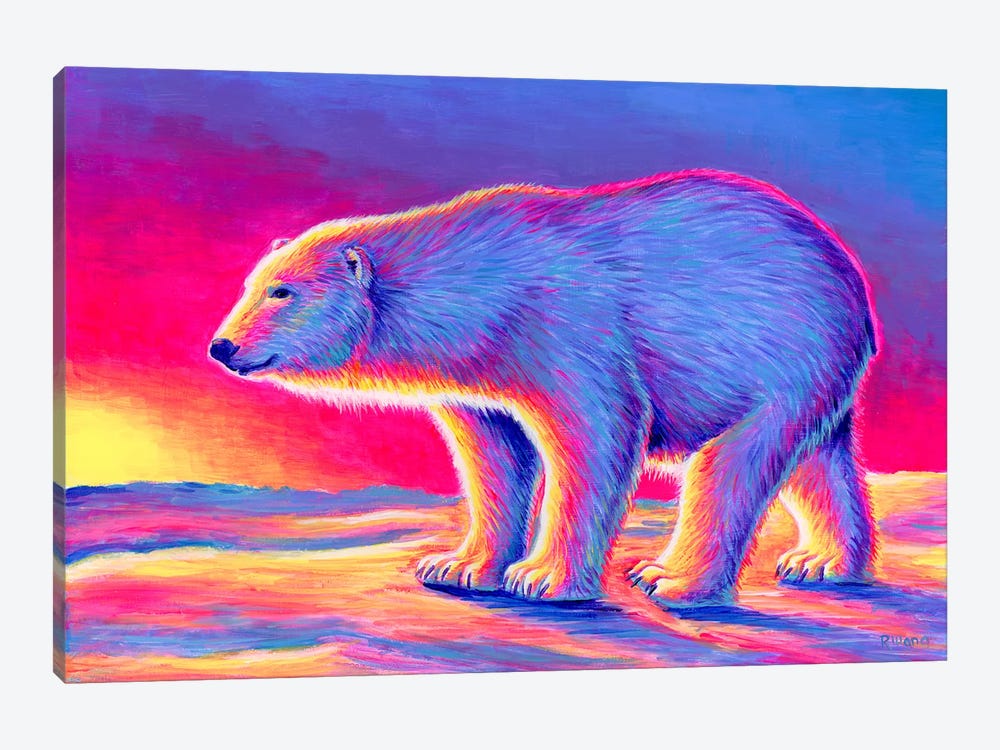 Sunset Polar Bear by Rebecca Wang 1-piece Canvas Art Print