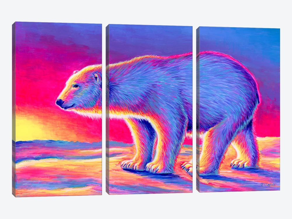 Sunset Polar Bear by Rebecca Wang 3-piece Canvas Print