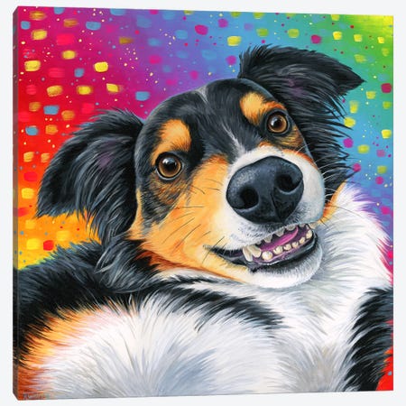 Tricolor Australian Shepherd Dog Canvas Print #RBW126} by Rebecca Wang Art Print