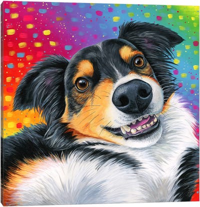 Tricolor Australian Shepherd Dog Canvas Art Print - Australian Shepherd Art