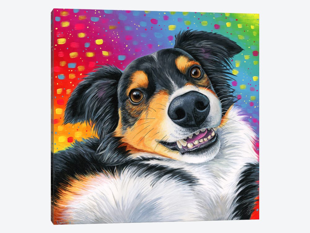 Tricolor Australian Shepherd Dog by Rebecca Wang 1-piece Canvas Art
