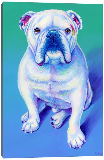 White English Bulldog Canvas Art Print - Rebecca Wang