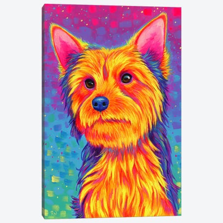 Yorkshire Terrier Canvas Print #RBW128} by Rebecca Wang Canvas Artwork