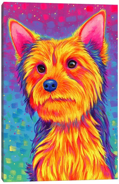 Yorkshire Terrier Canvas Art Print - Rebecca Wang
